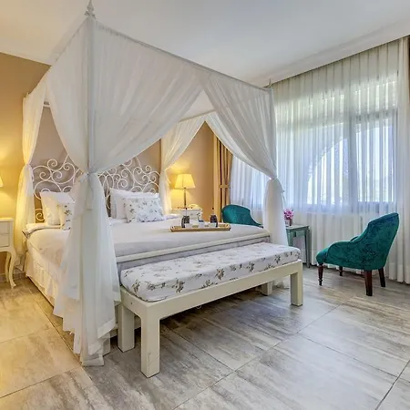 Greenline (adults Only) אורחן