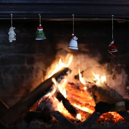 Greenline (adults Only)