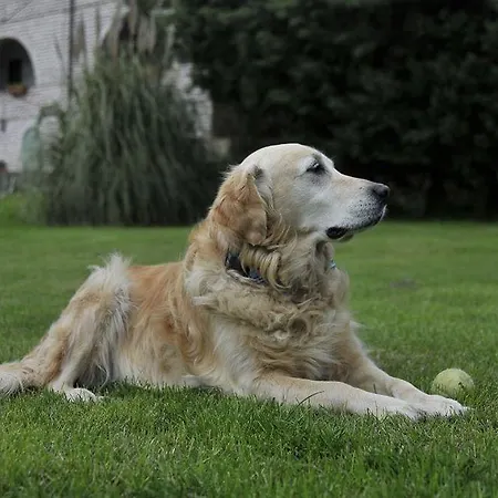 Greenline (adults Only) אורחן 4*